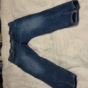Express Jeans plus size
